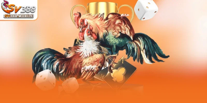 Sân chơi đá gà SV388 uy tín, minh bạch